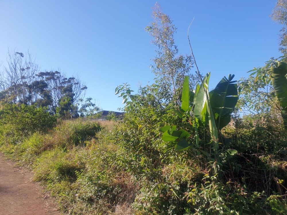 Vacant land for sale in Margate - 1PX1578621