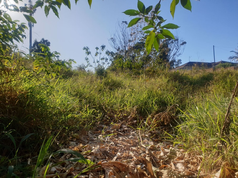 Vacant land for sale in Margate - 1PX1578621