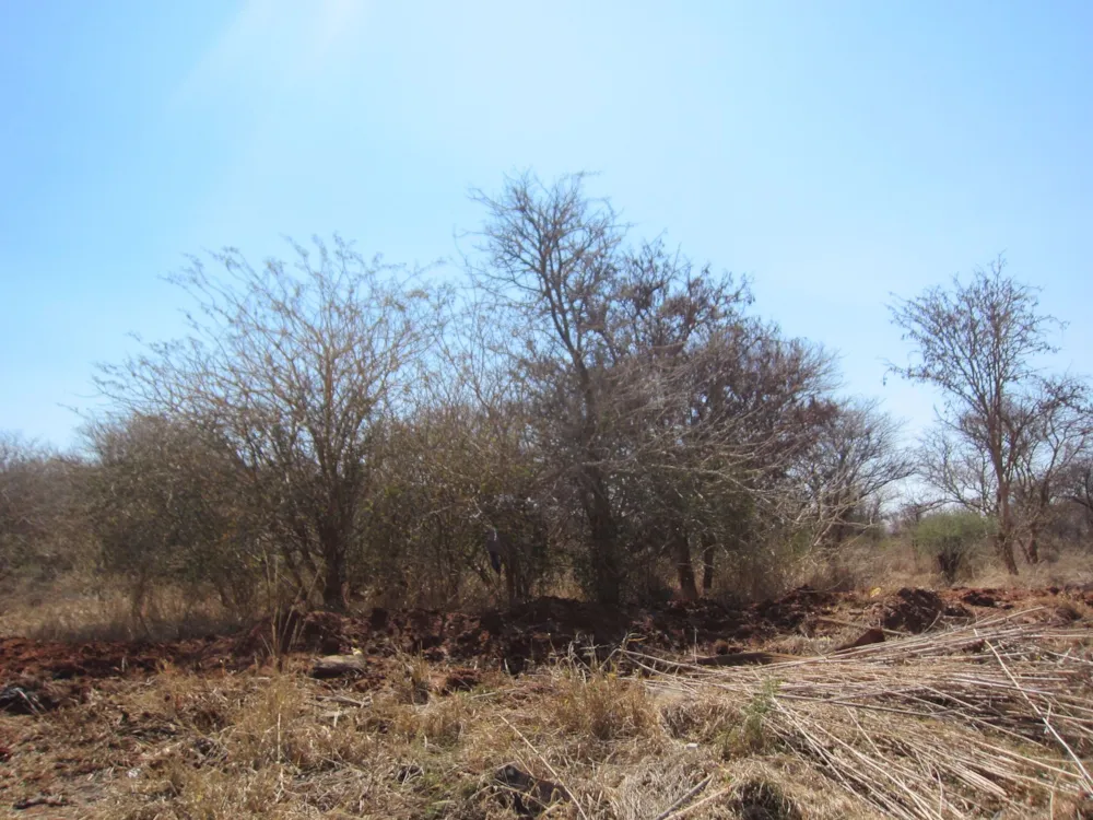 Residential vacant land for sale in Northam - 1ER1578275 Residential vacant land for sale in Northam - 1ER1578275