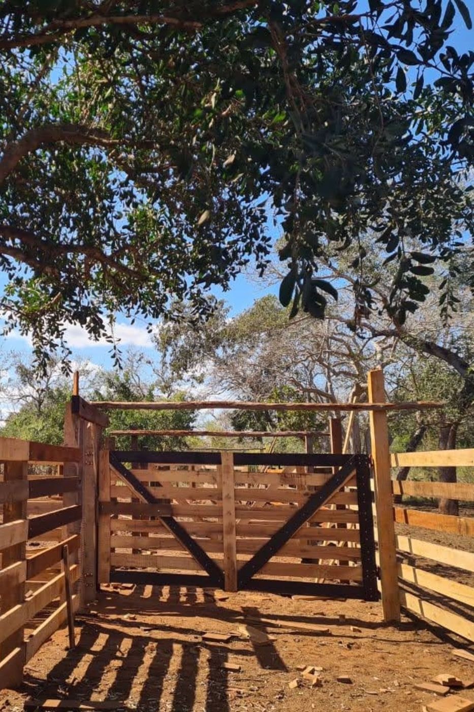 Dairy farm for sale in Inhassoro, Mozambique - 3MQ1648280