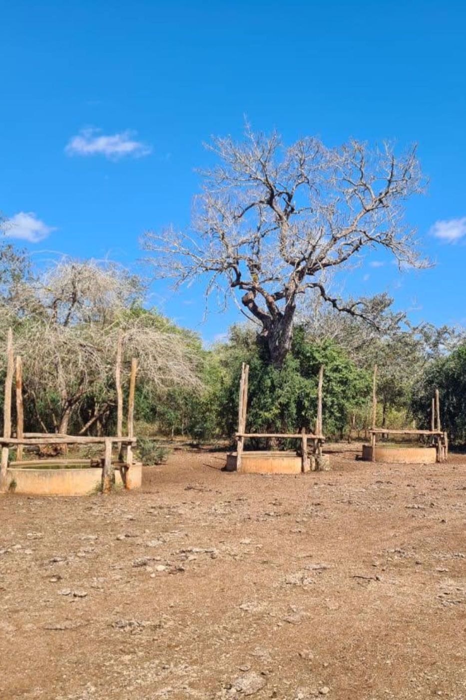 Dairy farm for sale in Inhassoro, Mozambique - 3MQ1648280
