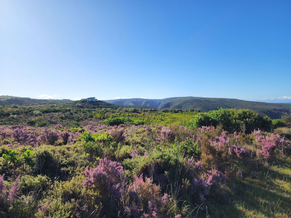 Vacant land sold in Pezula Private Estate - 1KG1682382 Vacant land sold in Pezula Private Estate - 1KG1682382