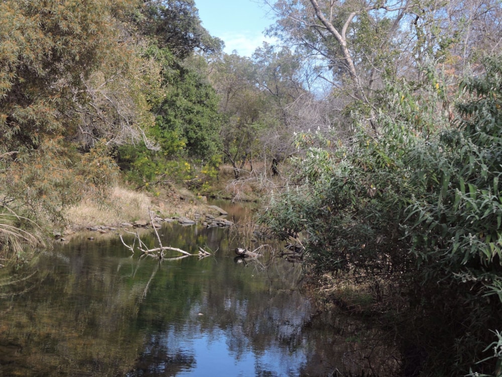 Game farm for sale in Groot Marico - 1RU1211960