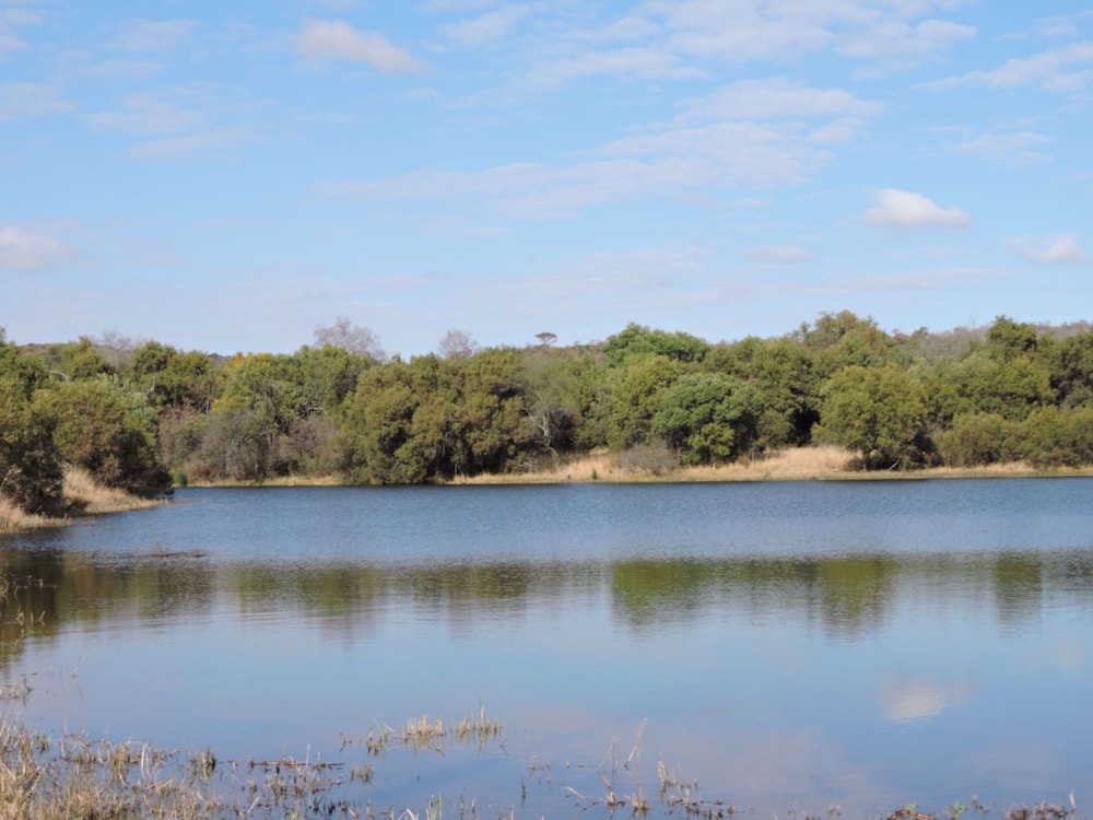 Game farm for sale in Groot Marico - 1RU1211960
