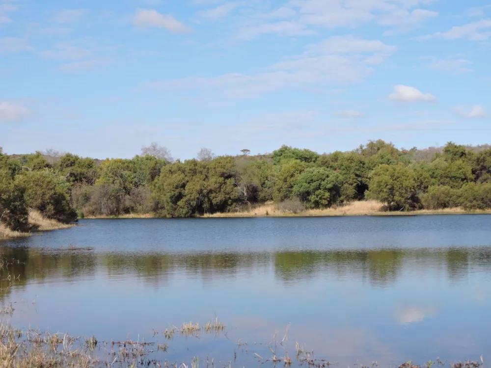 Game farm for sale in Groot Marico - 1RU1211960 Game farm for sale in Groot Marico - 1RU1211960