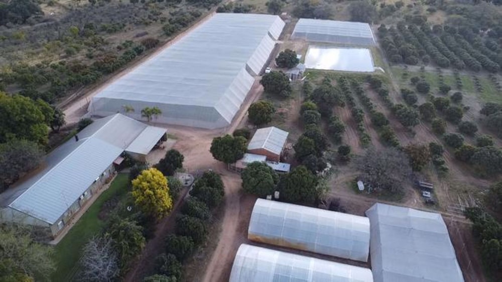 Mixed use farm sold in Tzaneen Rural - 1TA1577810 Mixed use farm sold in Tzaneen Rural - 1TA1577810