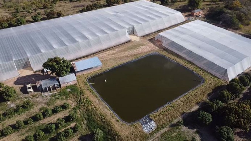 Mixed use farm sold in Tzaneen Rural - 1TA1577810 Mixed use farm sold in Tzaneen Rural - 1TA1577810