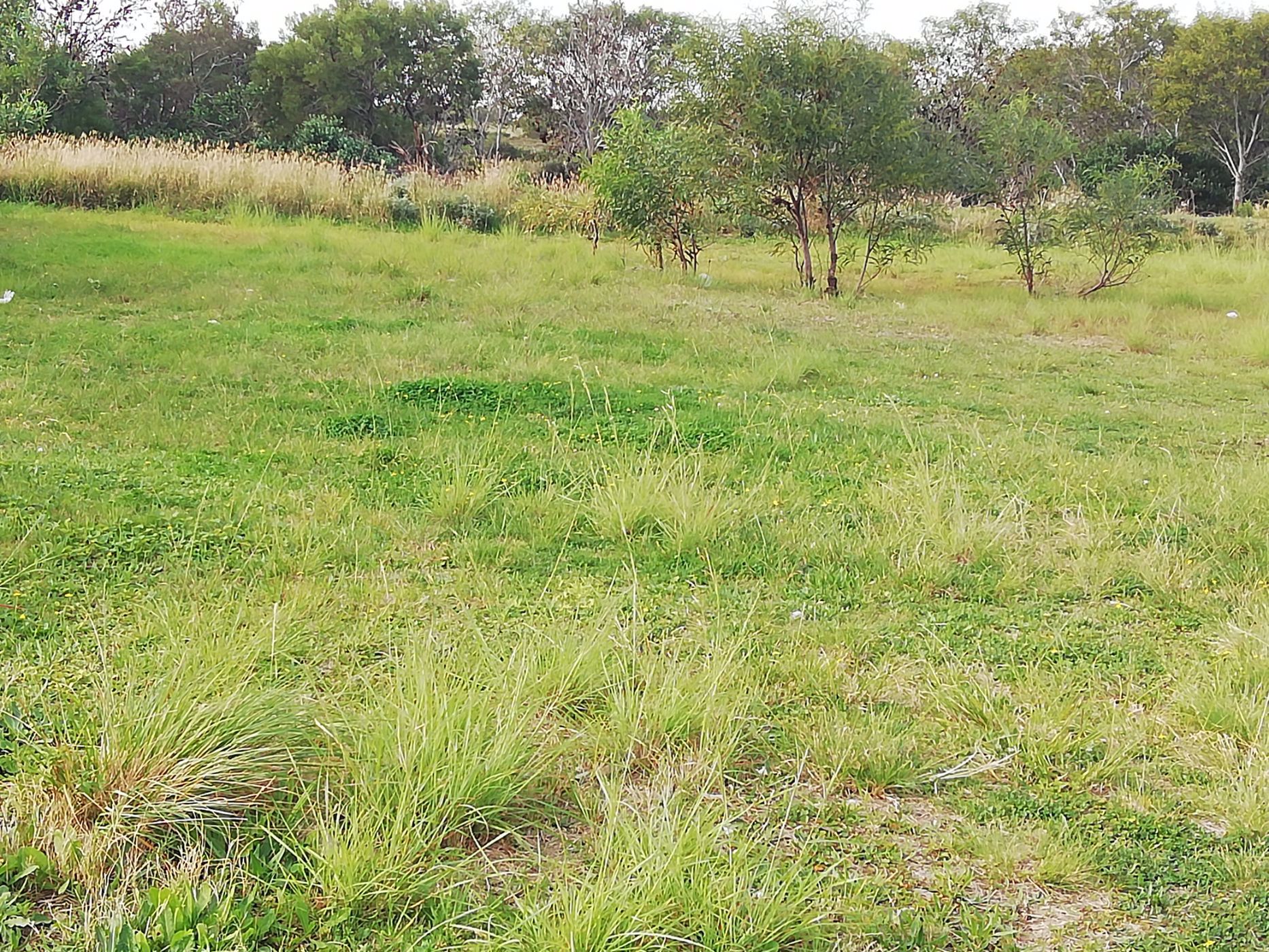 Residential vacant land for sale in Jeffreys Bay - 1JF1577785