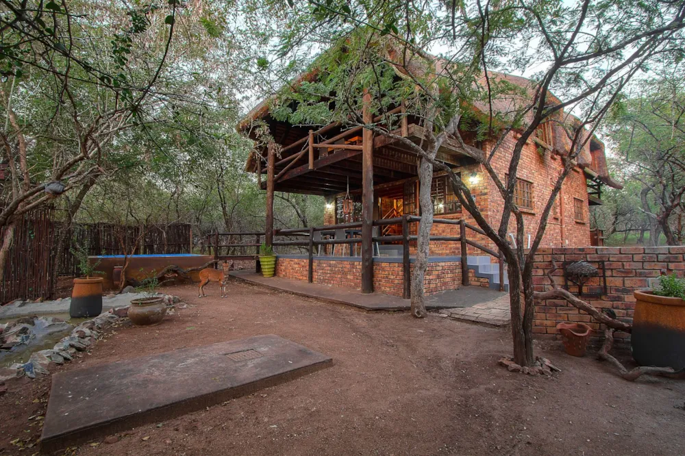 House to rent in Marloth Park - 1NK1706105 House to rent in Marloth Park - 1NK1706105