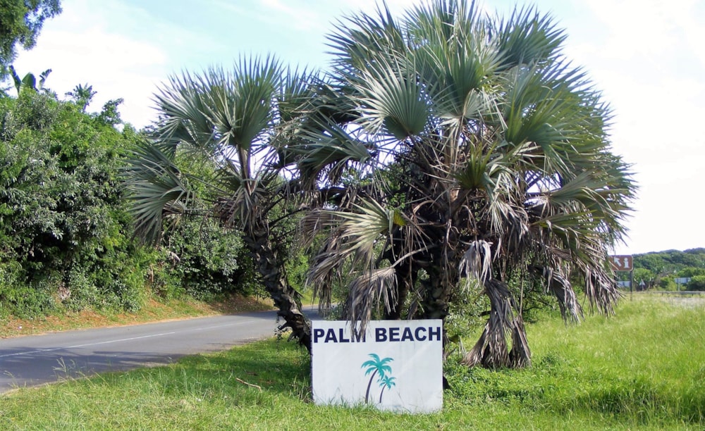 Residential vacant land for sale in Palm Beach - 1PD1505230 Residential vacant land for sale in Palm Beach - 1PD1505230