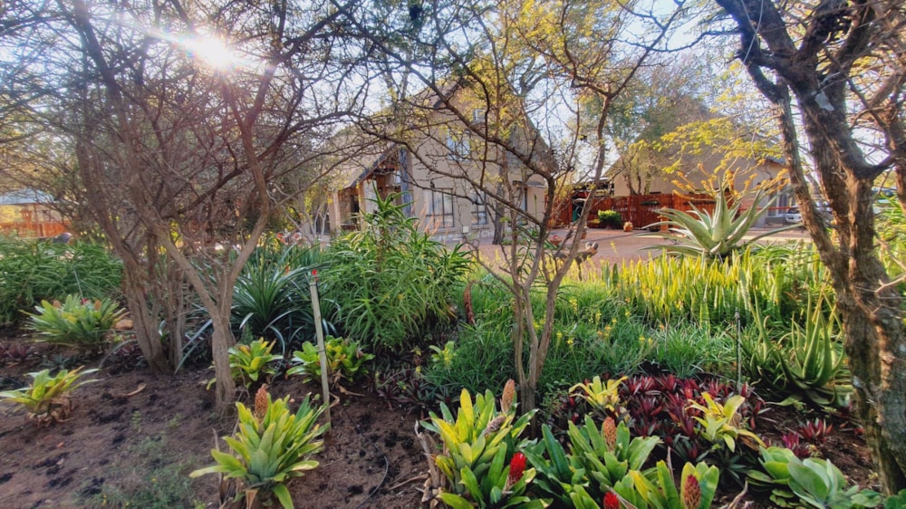 House for sale in Hoedspruit Wildlife Estate - 1HS1573196