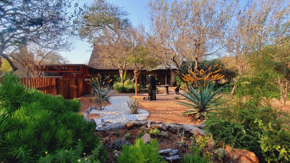 House for sale in Hoedspruit Wildlife Estate - 1HS1573196