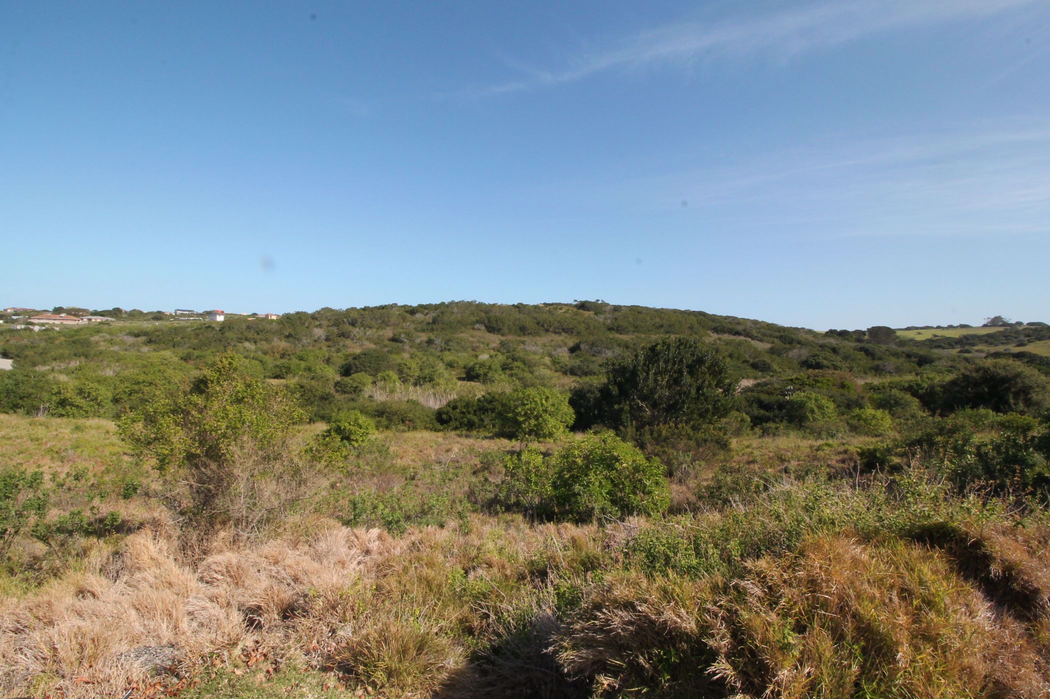 Residential vacant land for sale in Forest Downs - 1PF1582124