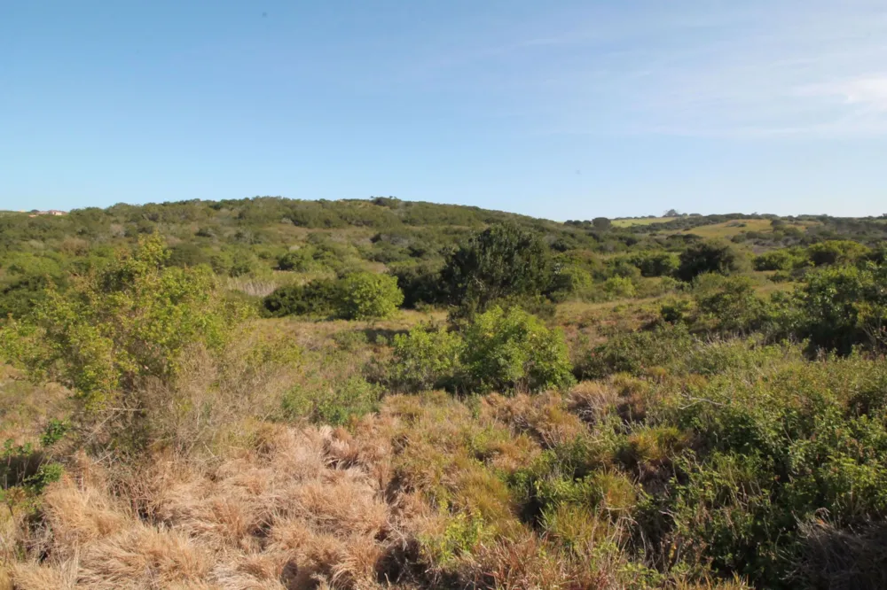 Residential vacant land for sale in Forest Downs - 1PF1582124