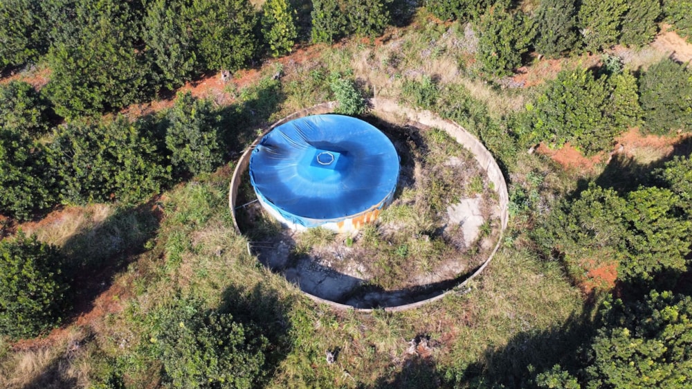 Plantation for sale in Magoebaskloof - 1TA1580603