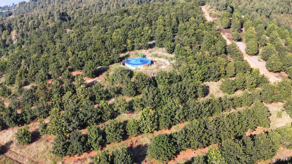 Plantation for sale in Magoebaskloof - 1TA1580603