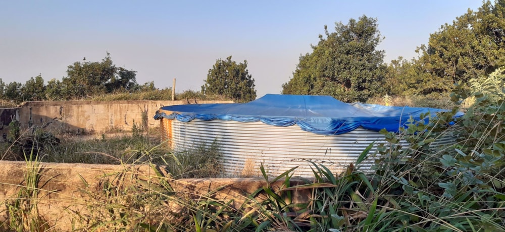 Plantation for sale in Magoebaskloof - 1TA1580603