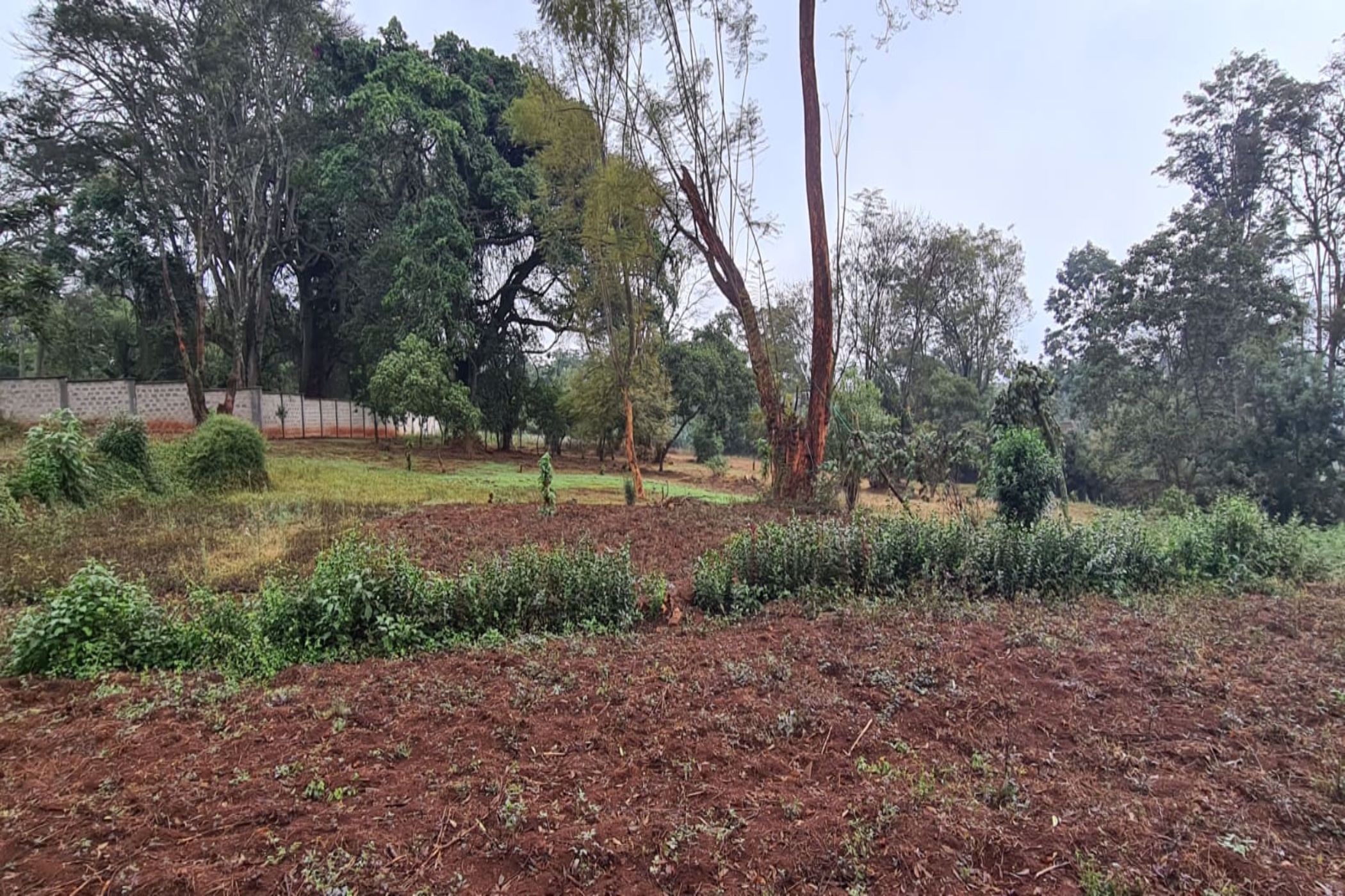 Commercial vacant land to rent in Loresho, Kenya - 3KE1599729