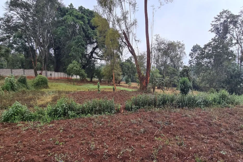 Commercial vacant land to rent in Loresho, Kenya - 3KE1599729 Commercial vacant land to rent in Loresho, Kenya - 3KE1599729