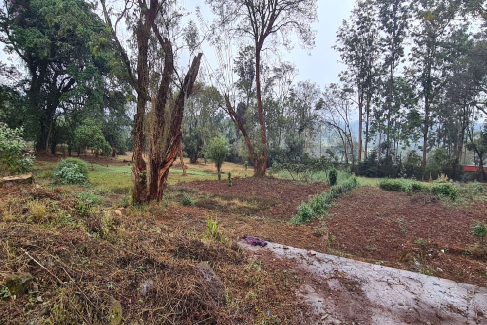 Commercial vacant land to rent in Loresho, Kenya - 3KE1599729 Commercial vacant land to rent in Loresho, Kenya - 3KE1599729