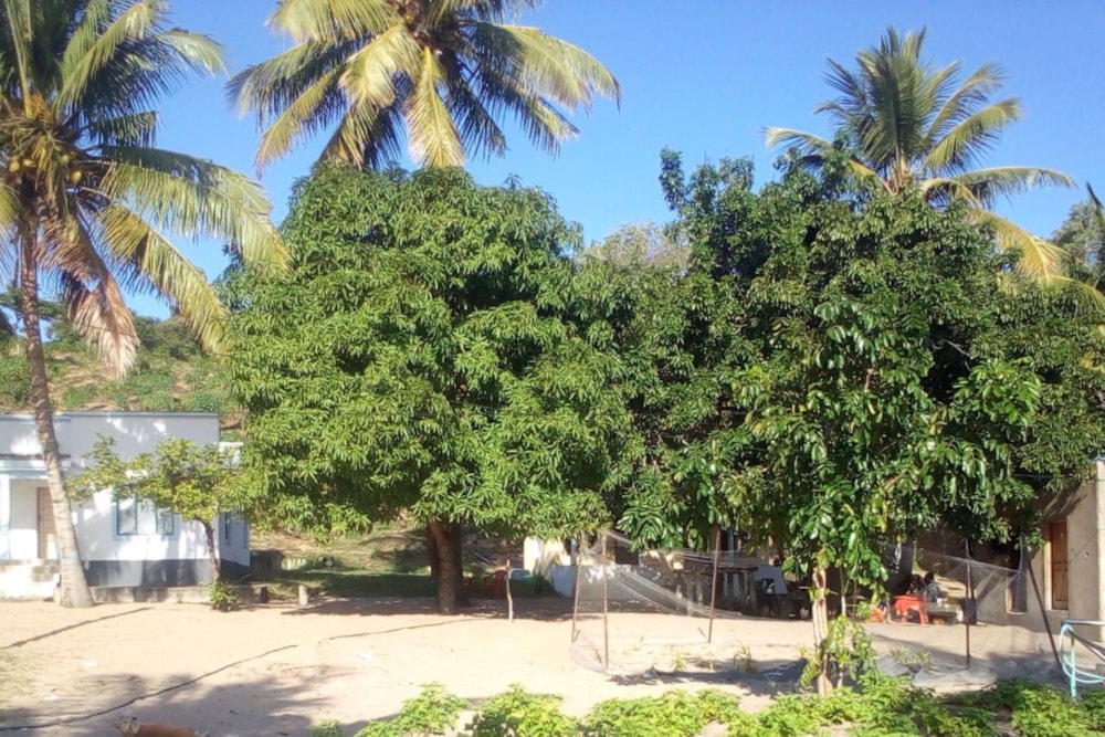 House for sale in Praia do Bilene, Gaza, Mozambique - 3MQ1579970