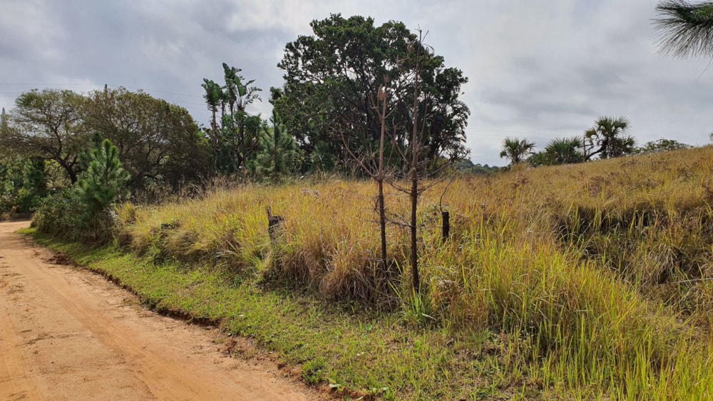 Residential vacant land for sale in Palm Beach - 1PD1581041 Residential vacant land for sale in Palm Beach - 1PD1581041