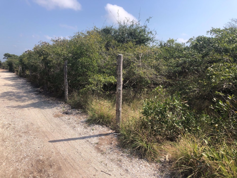 Vacant land for investment in Vilanculos, Mozambique - 3MQ1581115