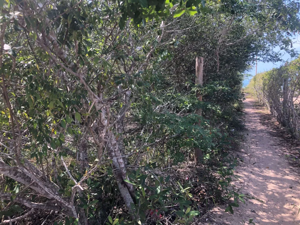 Vacant land for investment in Vilanculos, Mozambique - 3MQ1581115 Vacant land for investment in Vilanculos, Mozambique - 3MQ1581115