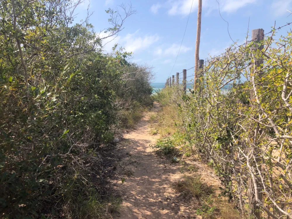 Vacant land for investment in Vilanculos, Mozambique - 3MQ1581115 Vacant land for investment in Vilanculos, Mozambique - 3MQ1581115