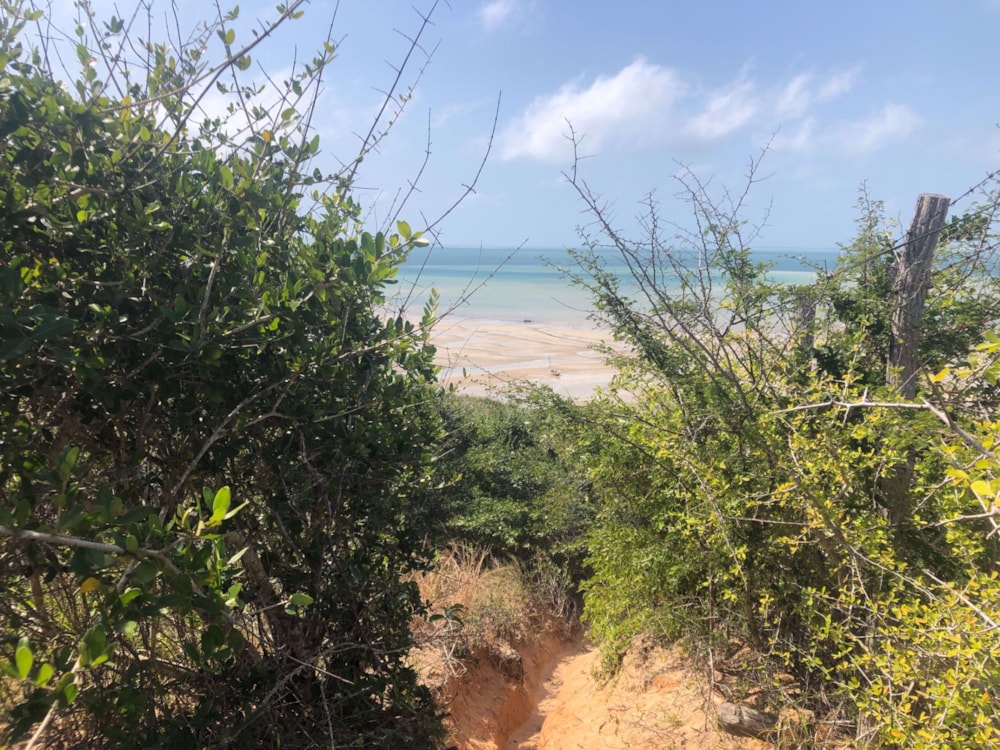 Vacant land for investment in Vilanculos, Mozambique - 3MQ1581115
