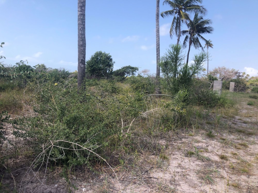 Vacant land for investment in Vilanculos, Mozambique - 3MQ1581123