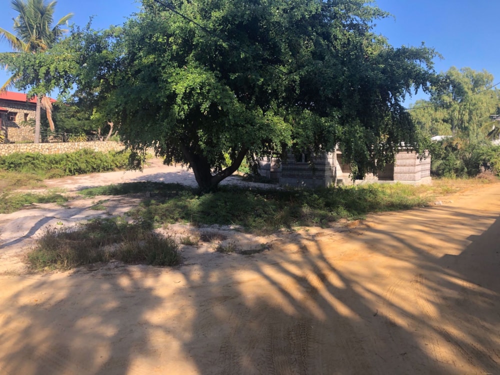 Vacant land for investment in Vilanculos, Mozambique - 3MQ1581646