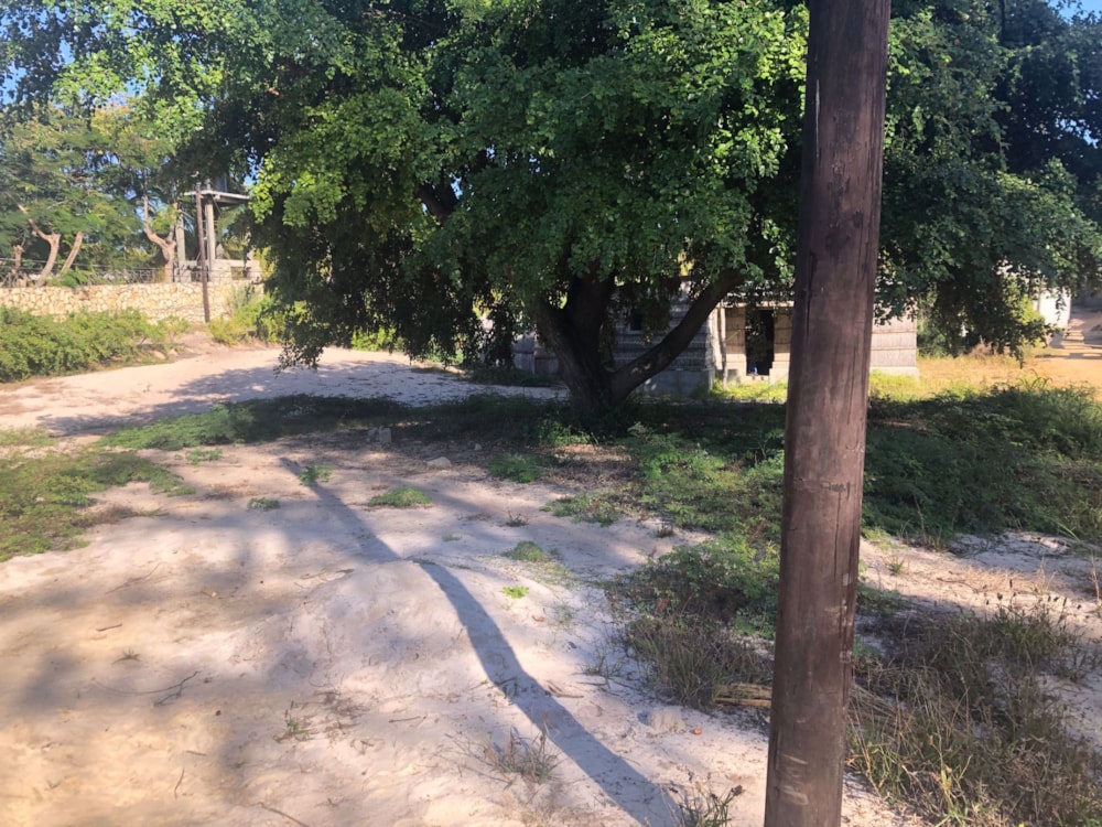 Vacant land for investment in Vilanculos, Mozambique - 3MQ1581646