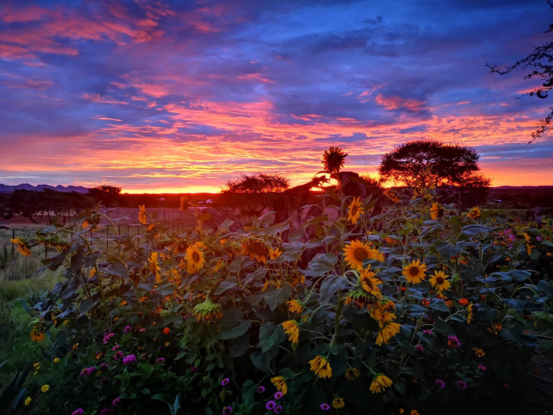 Security estate home for sale in Windhoek, Namibia - 3NM1581841
