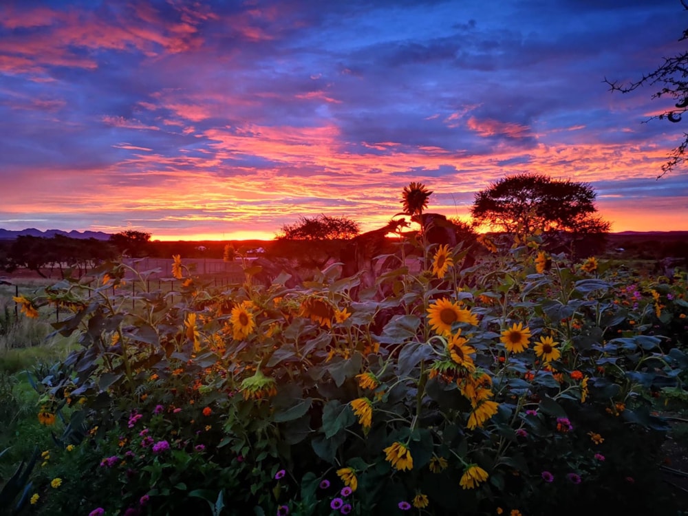 Security estate home for sale in Windhoek, Namibia - 3NM1581841