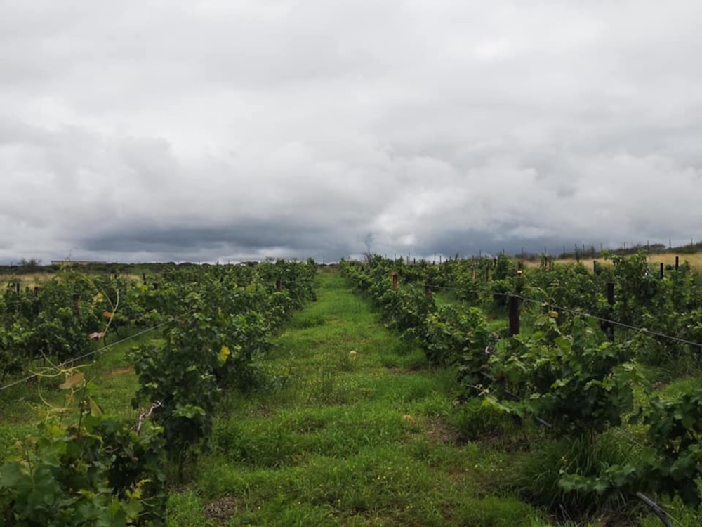 Smallholding for sale in Windhoek, Namibia - 3NM1581875 Smallholding for sale in Windhoek, Namibia - 3NM1581875