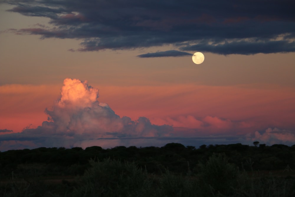 Smallholding for sale in Windhoek, Namibia - 3NM1581875 Smallholding for sale in Windhoek, Namibia - 3NM1581875