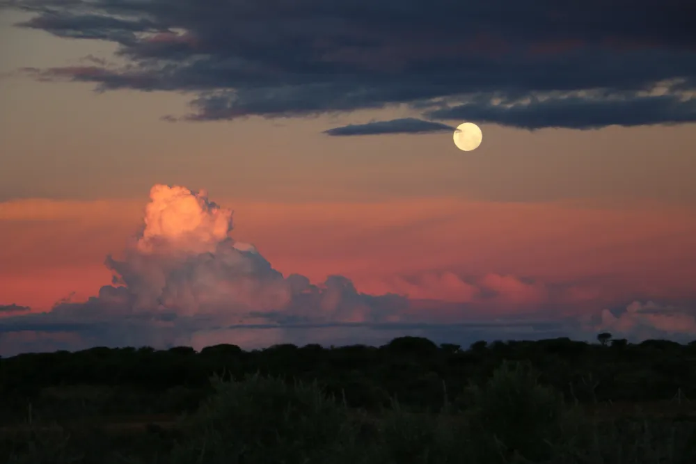 Smallholding for sale in Windhoek, Namibia - 3NM1581875 Smallholding for sale in Windhoek, Namibia - 3NM1581875