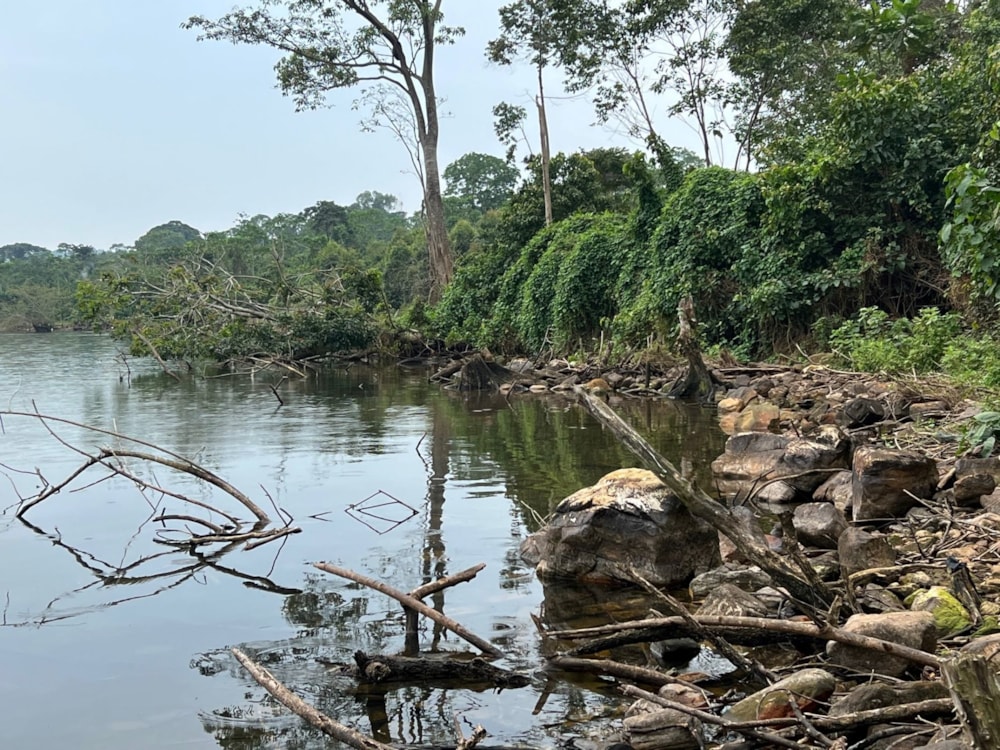 Vacant land for sale in Kalangala Island, Uganda - 3UG1582880 Vacant land for sale in Kalangala Island, Uganda - 3UG1582880