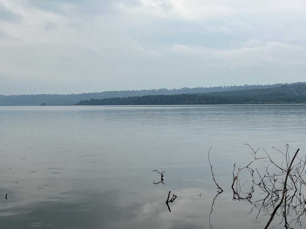 Vacant land for sale in Kalangala Island, Uganda - 3UG1582880 Vacant land for sale in Kalangala Island, Uganda - 3UG1582880