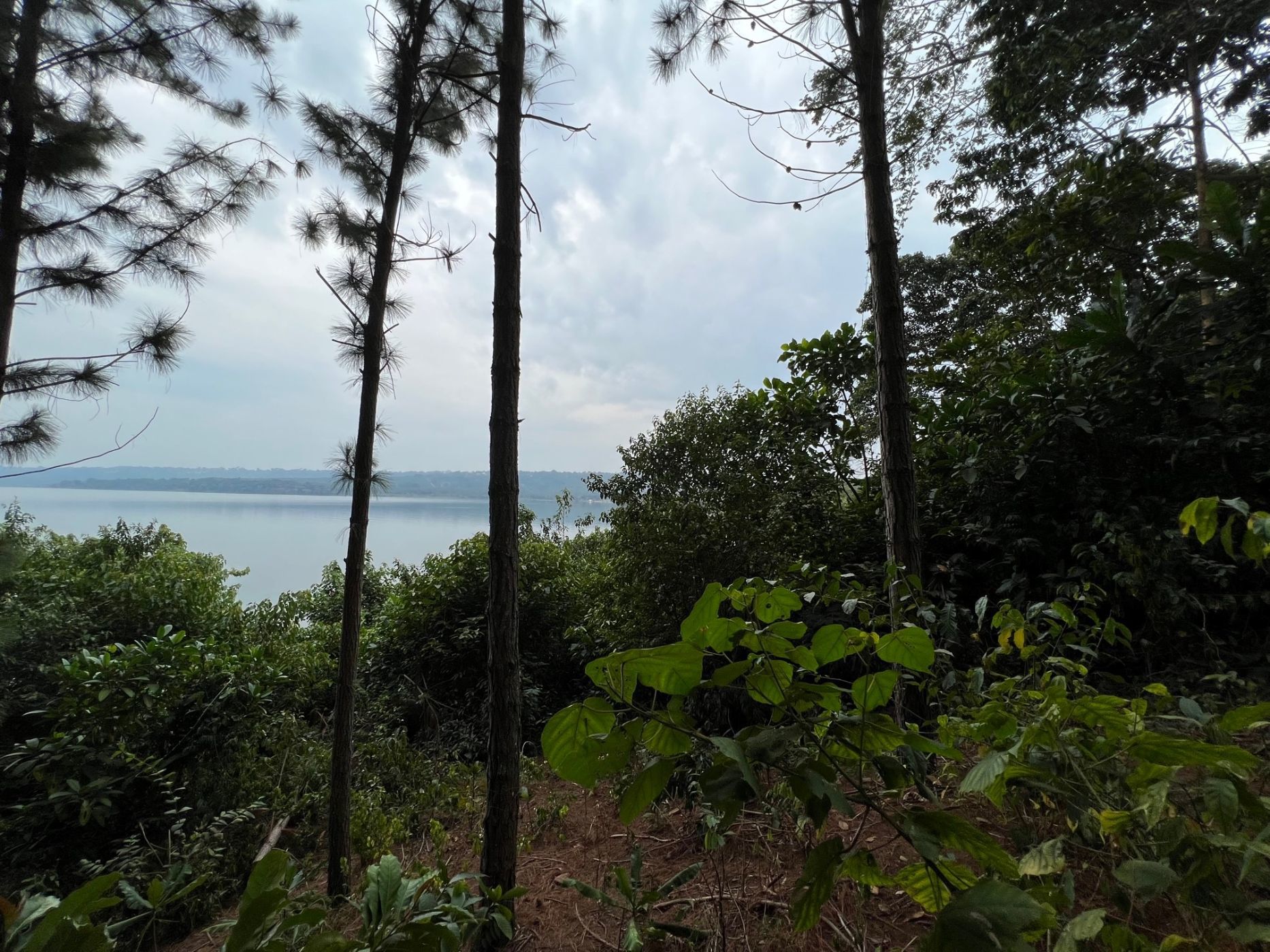 Vacant land for sale in Kalangala Island, Uganda - 3UG1582880