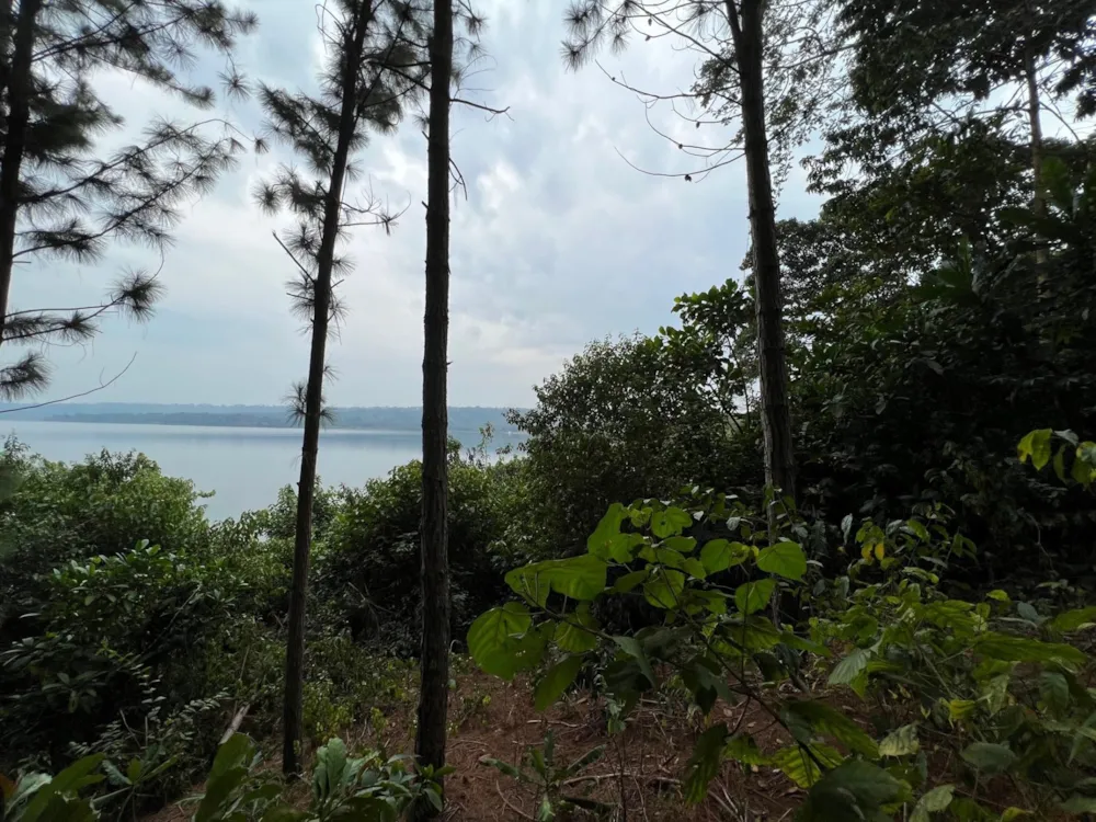 Vacant land for sale in Kalangala Island, Uganda - 3UG1582880 Vacant land for sale in Kalangala Island, Uganda - 3UG1582880