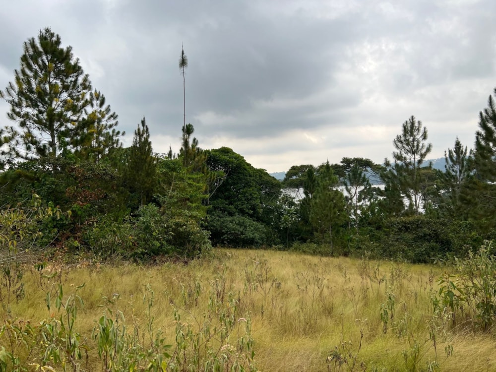 Vacant land for sale in Kalangala Island, Uganda - 3UG1582880 Vacant land for sale in Kalangala Island, Uganda - 3UG1582880