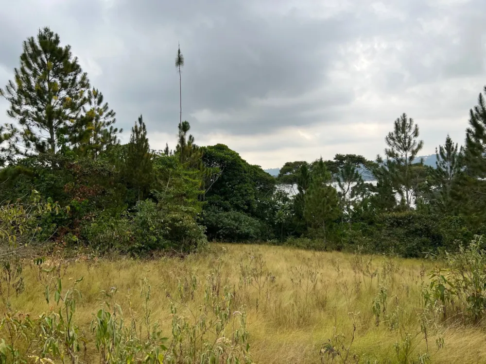 Vacant land for sale in Kalangala Island, Uganda - 3UG1582880 Vacant land for sale in Kalangala Island, Uganda - 3UG1582880