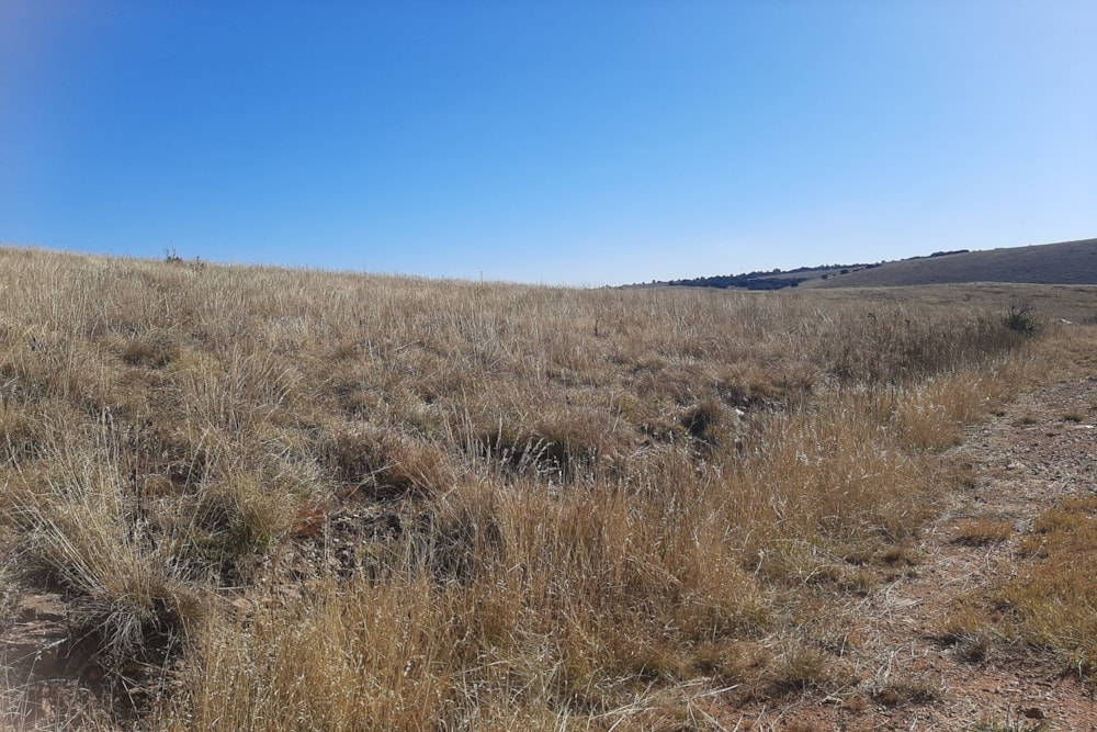 Vacant land for sale in Naaupoort - 1WD1582386