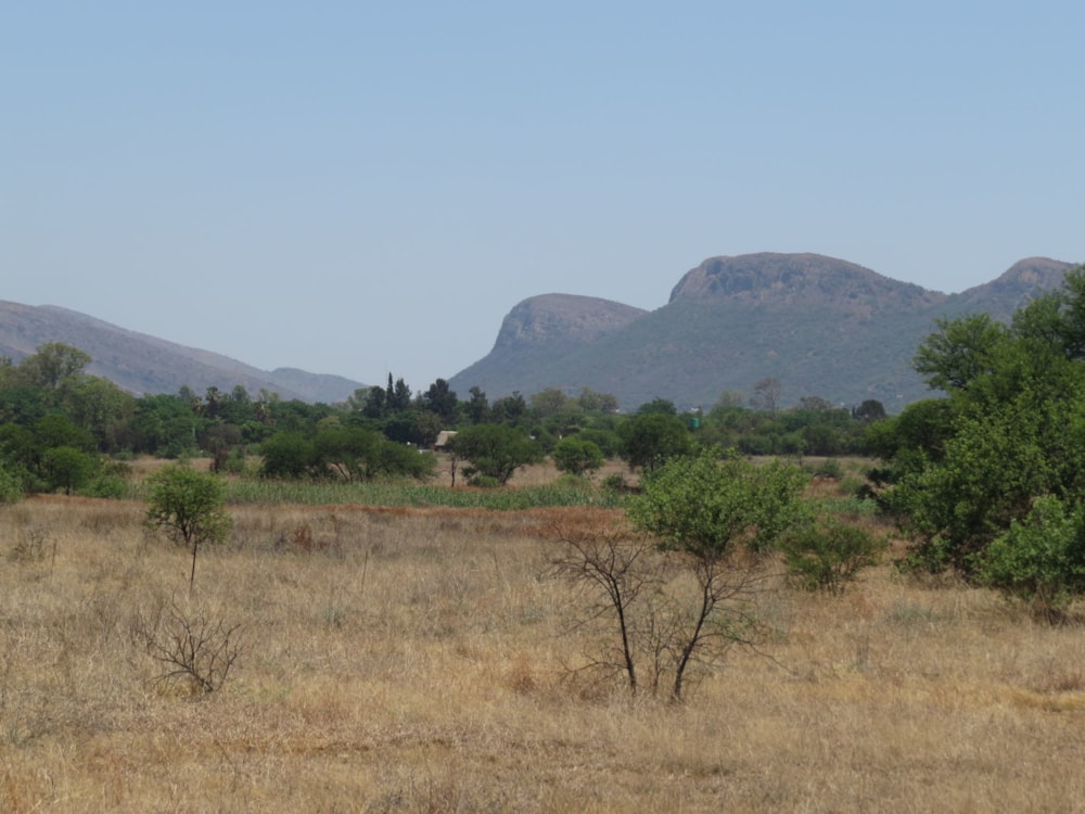 Vacant land for sale in La Camargue - 1HR1582483