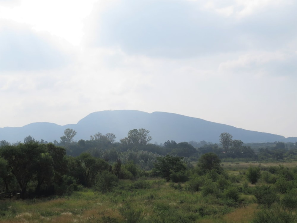 Vacant land for sale in La Camargue - 1HR1582490