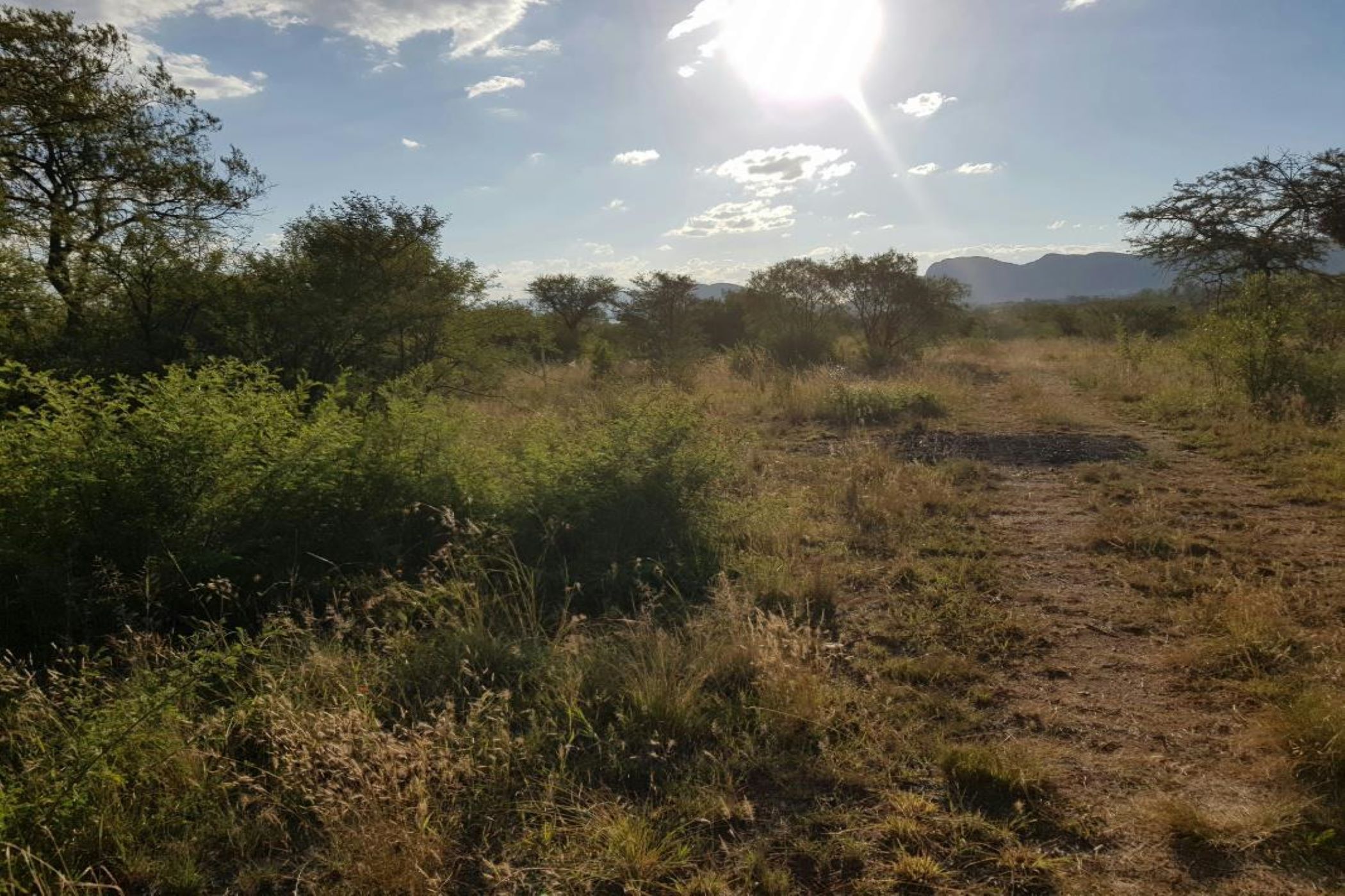 Vacant land for sale in La Camargue - 1HR1582490