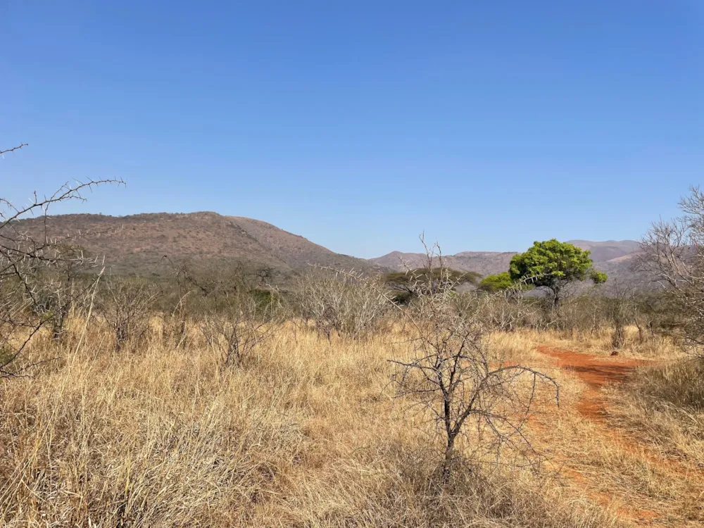 Vacant land for sale in Barberton - 1NK1582531 Vacant land for sale in Barberton - 1NK1582531