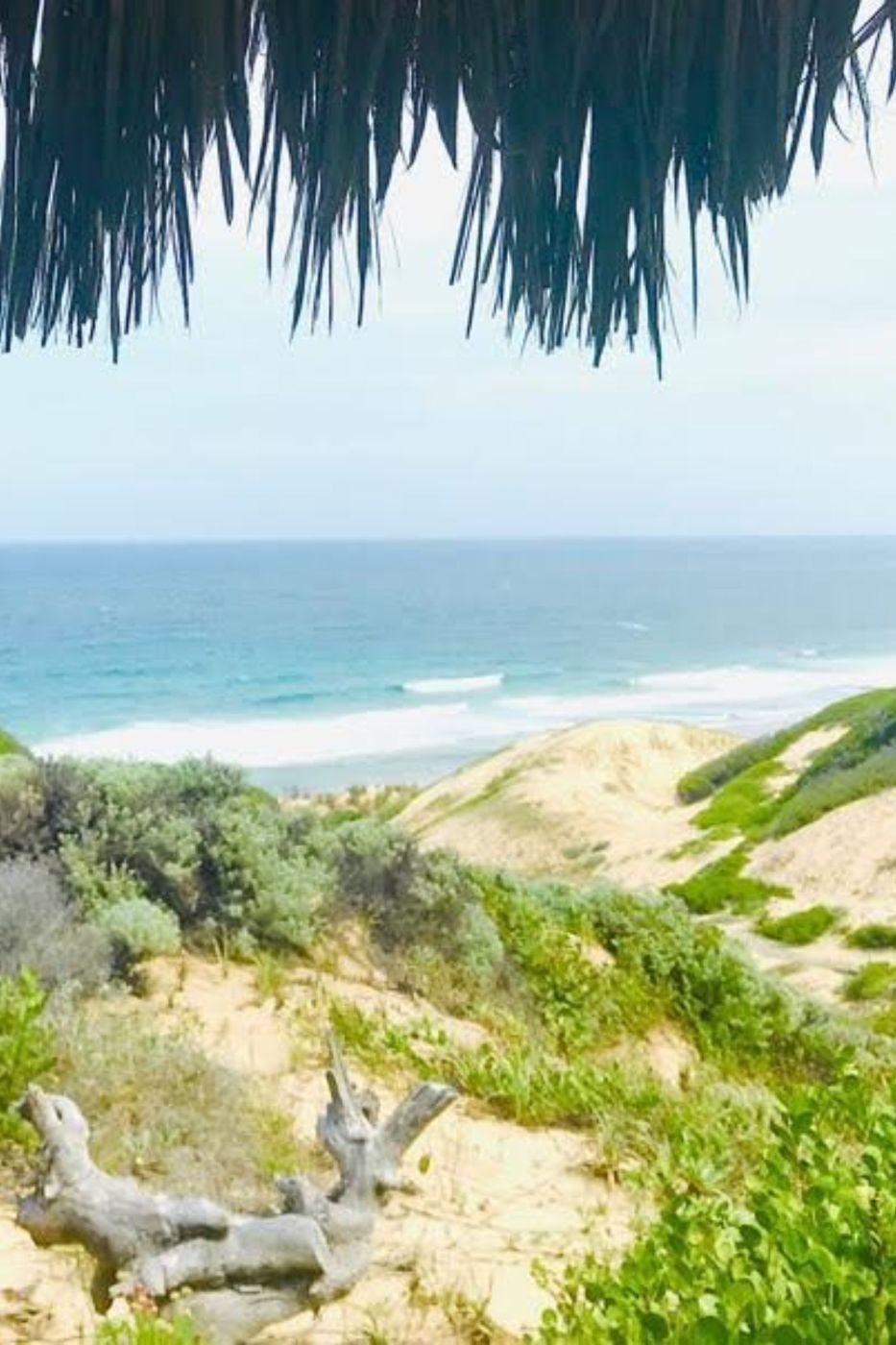 Beach bungalow for sale in Guinjata, Inhambane, Mozambique - 3MQ1582560 Beach bungalow for sale in Guinjata, Inhambane, Mozambique - 3MQ1582560